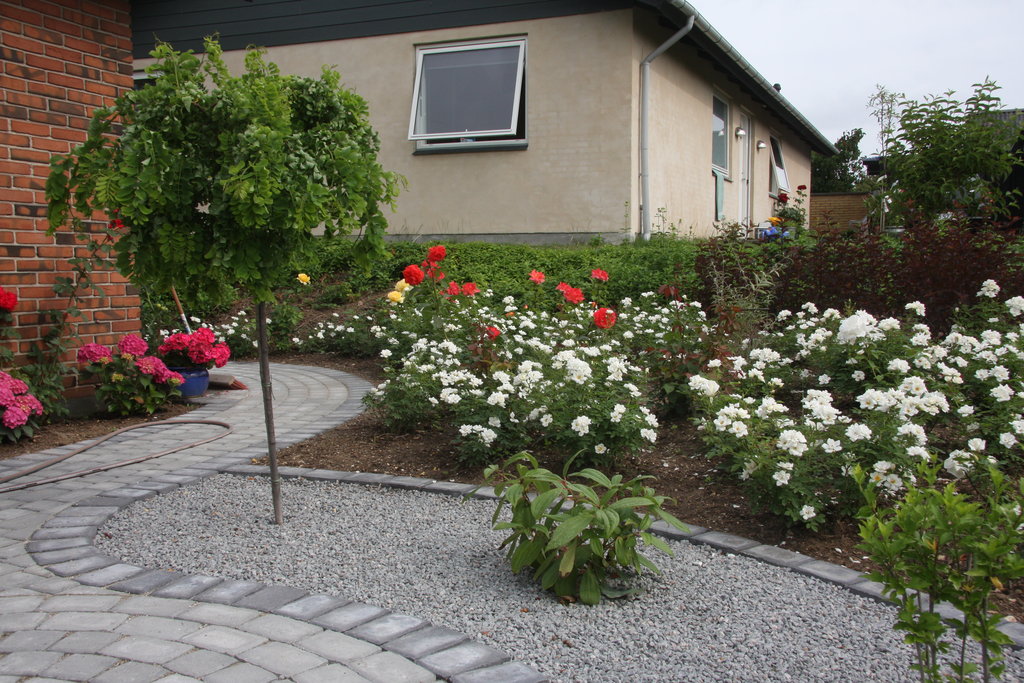 Beplantning – arbejde og resultat 1
