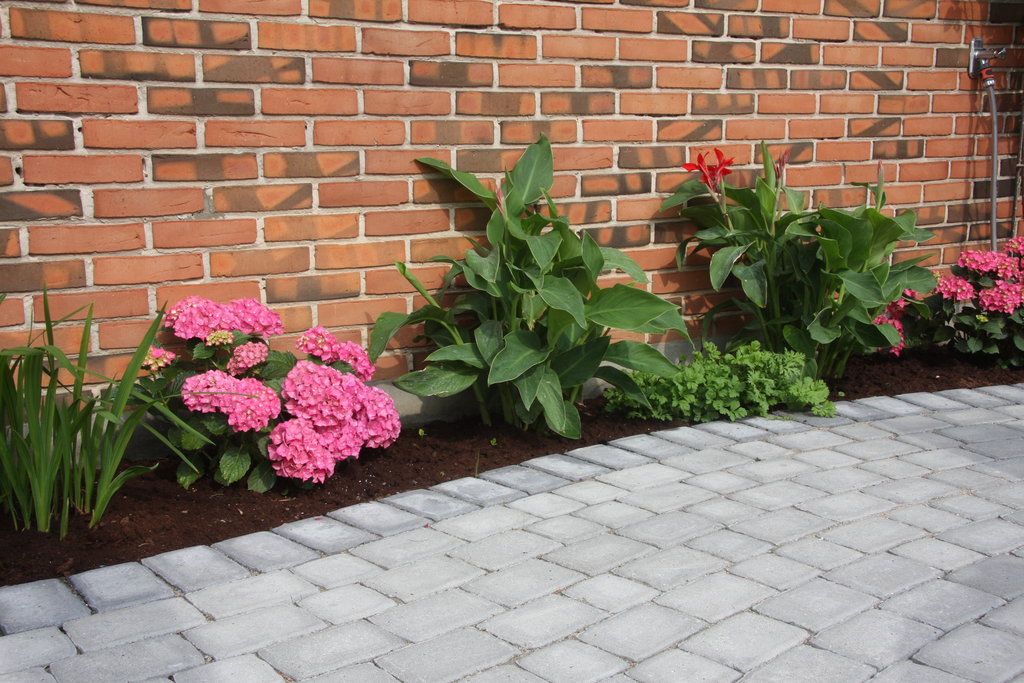 Beplantning – arbejde og resultat 2