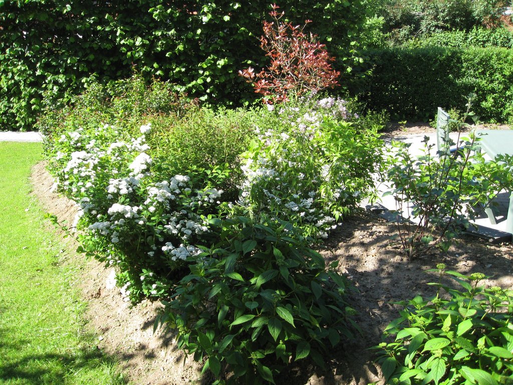 Beplantning – arbejde og resultat 5